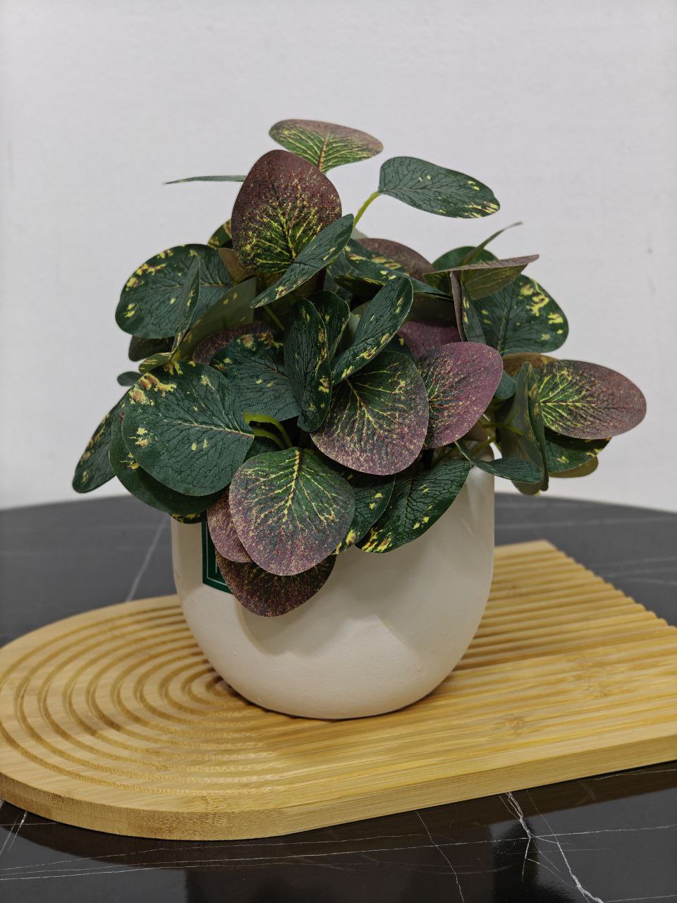 Plante art 0233