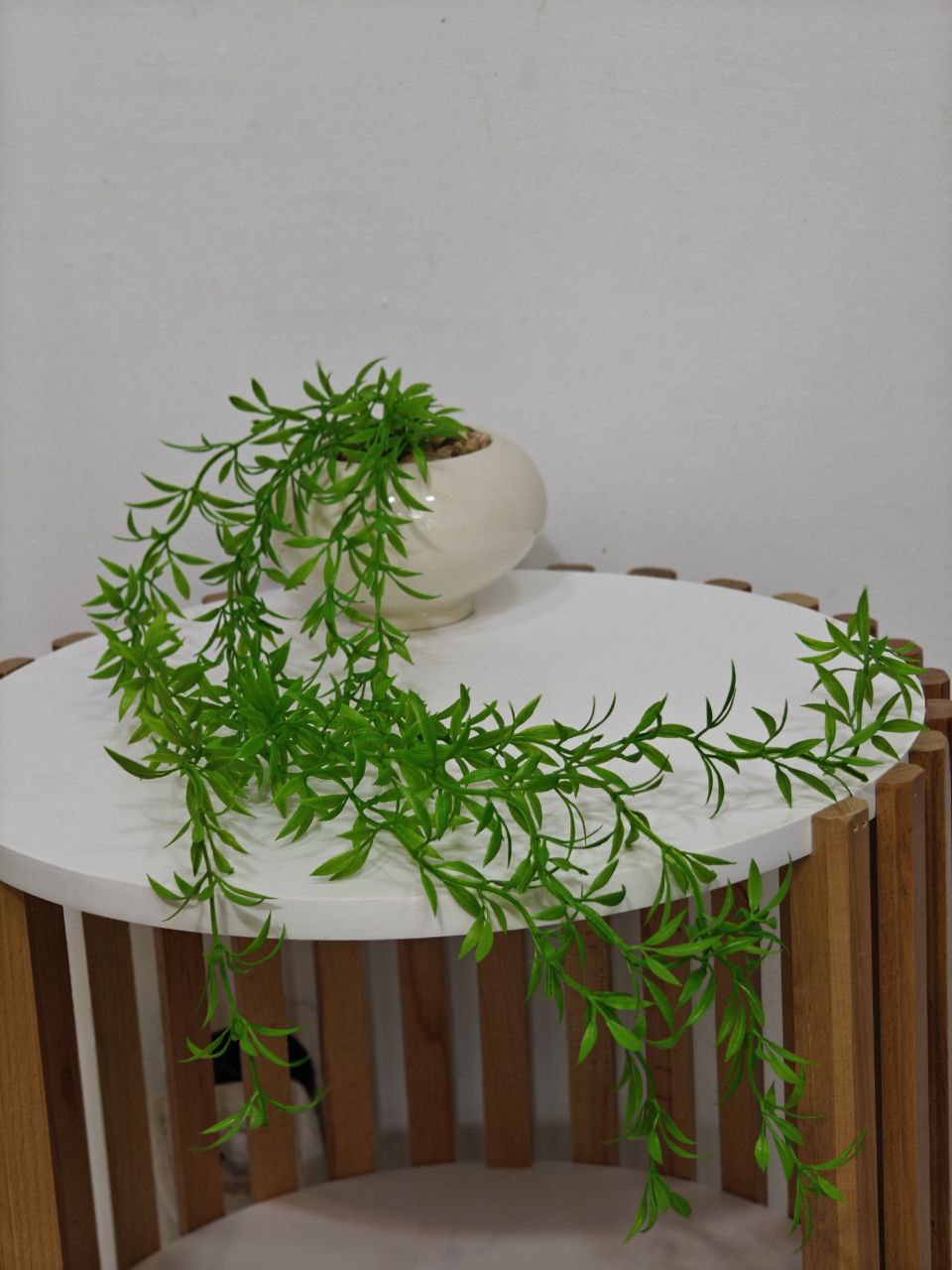 Plante art pm01