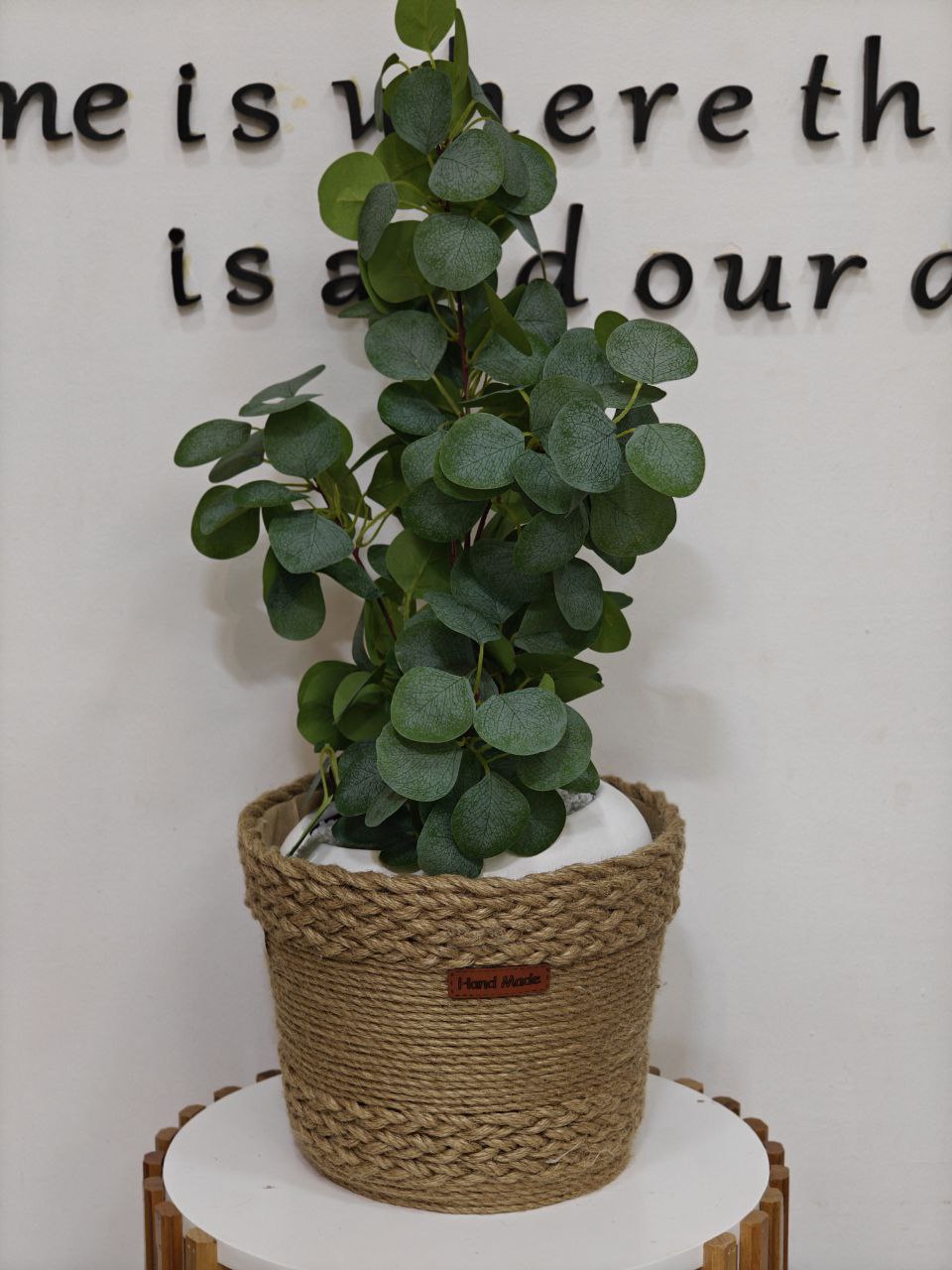 Cache pot osier 🧺( sans plante)