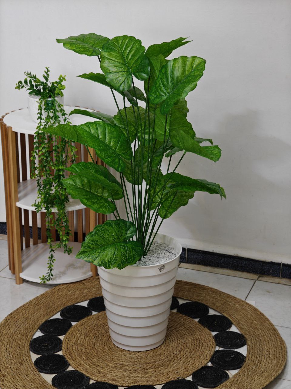 Plante art 1.10 m