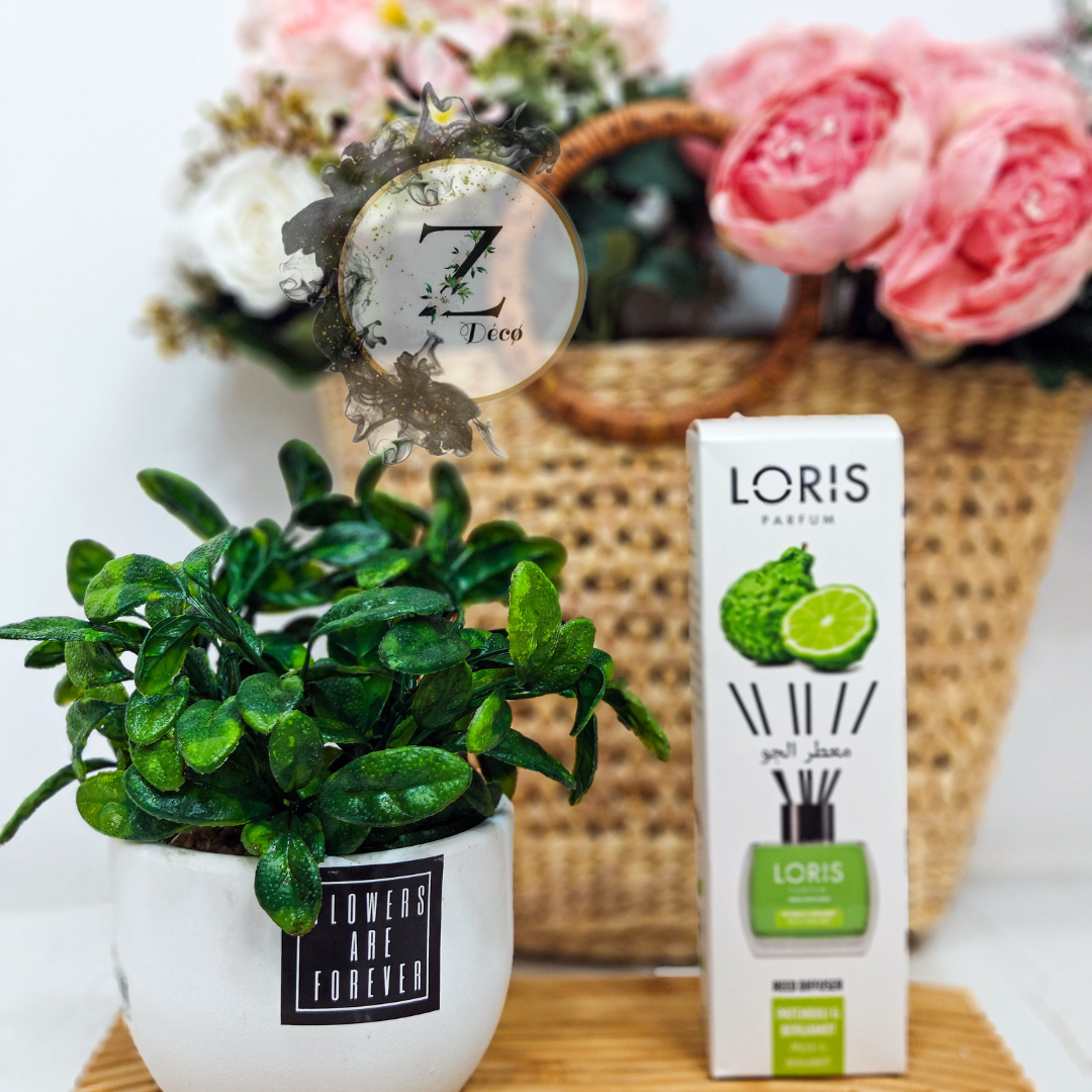 Loris