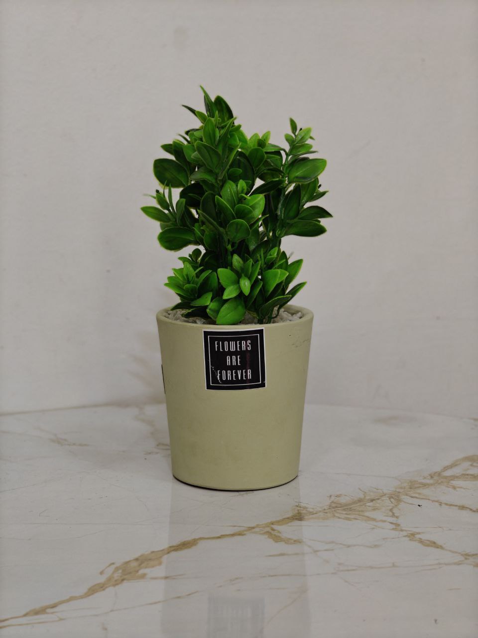 Plante artificielle