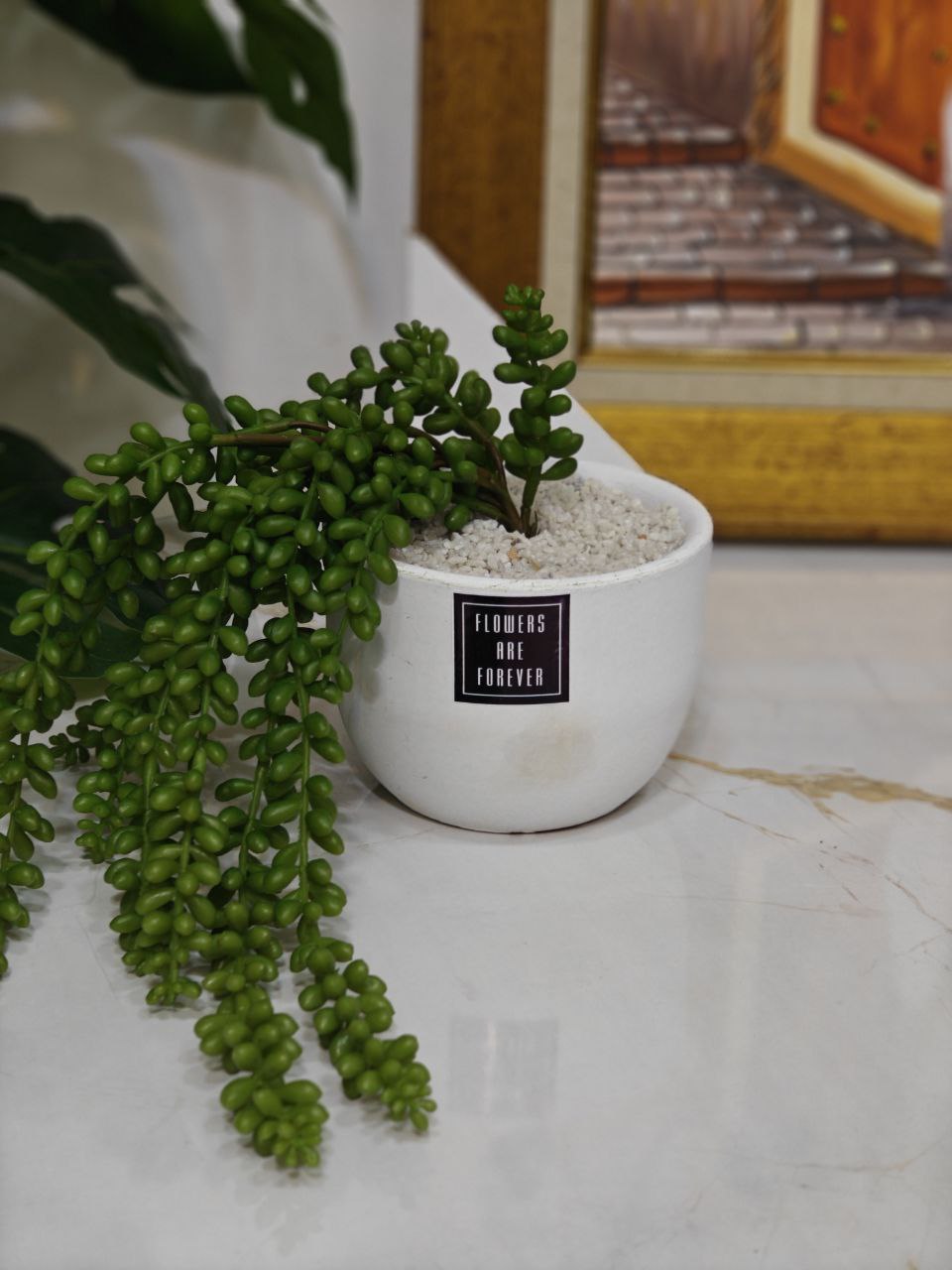 Plante artificielle blanc