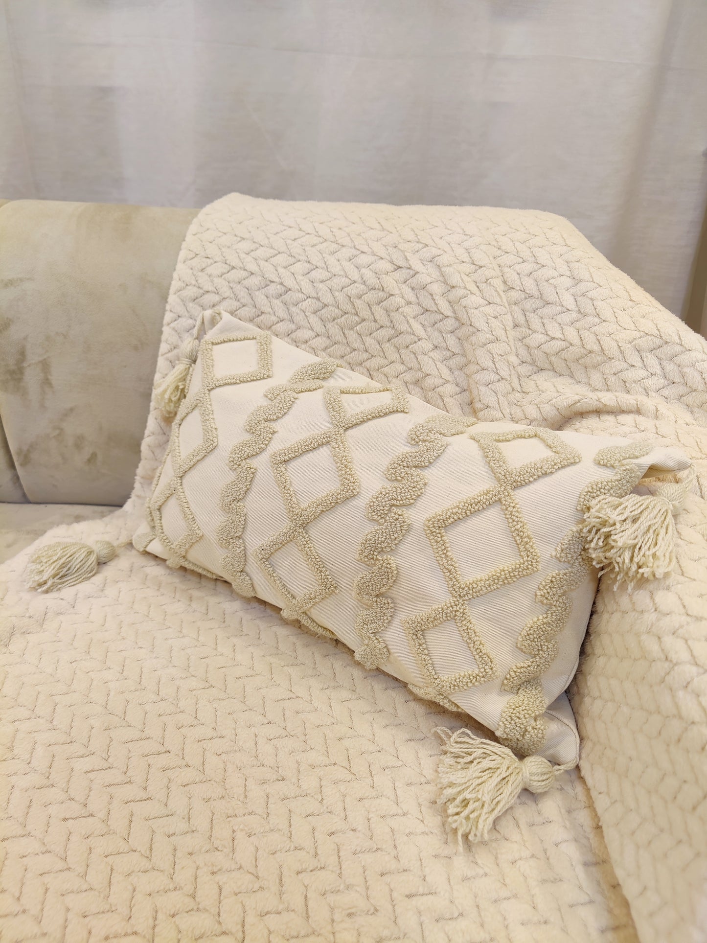 Coussin pic pic blanc et beige ( vide )