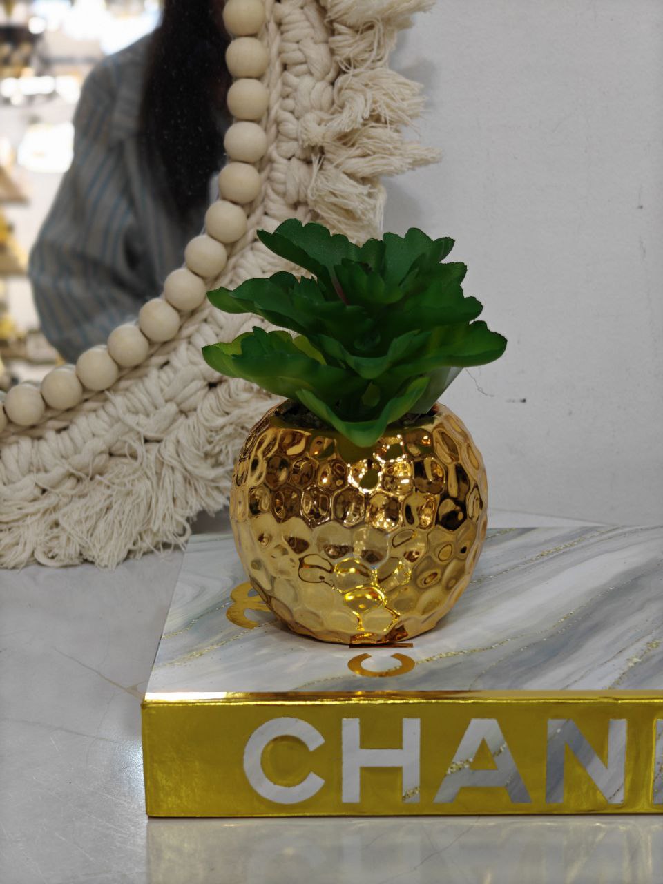 Plante doré ovale