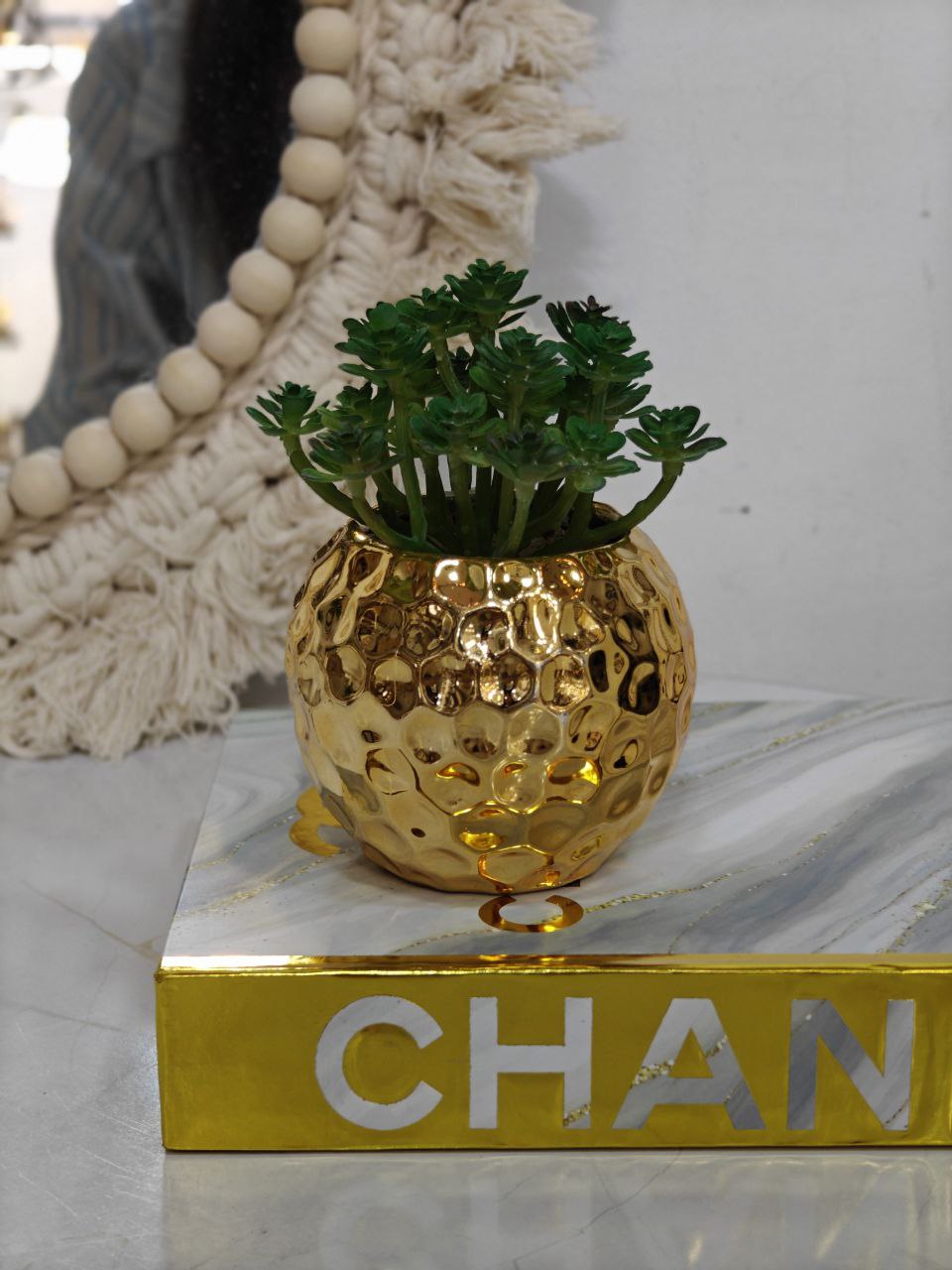 Plante doré ovale