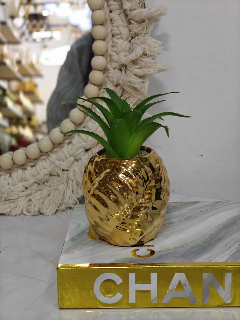 Plante doré ovale