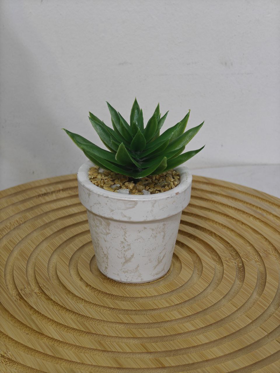 Plante pm