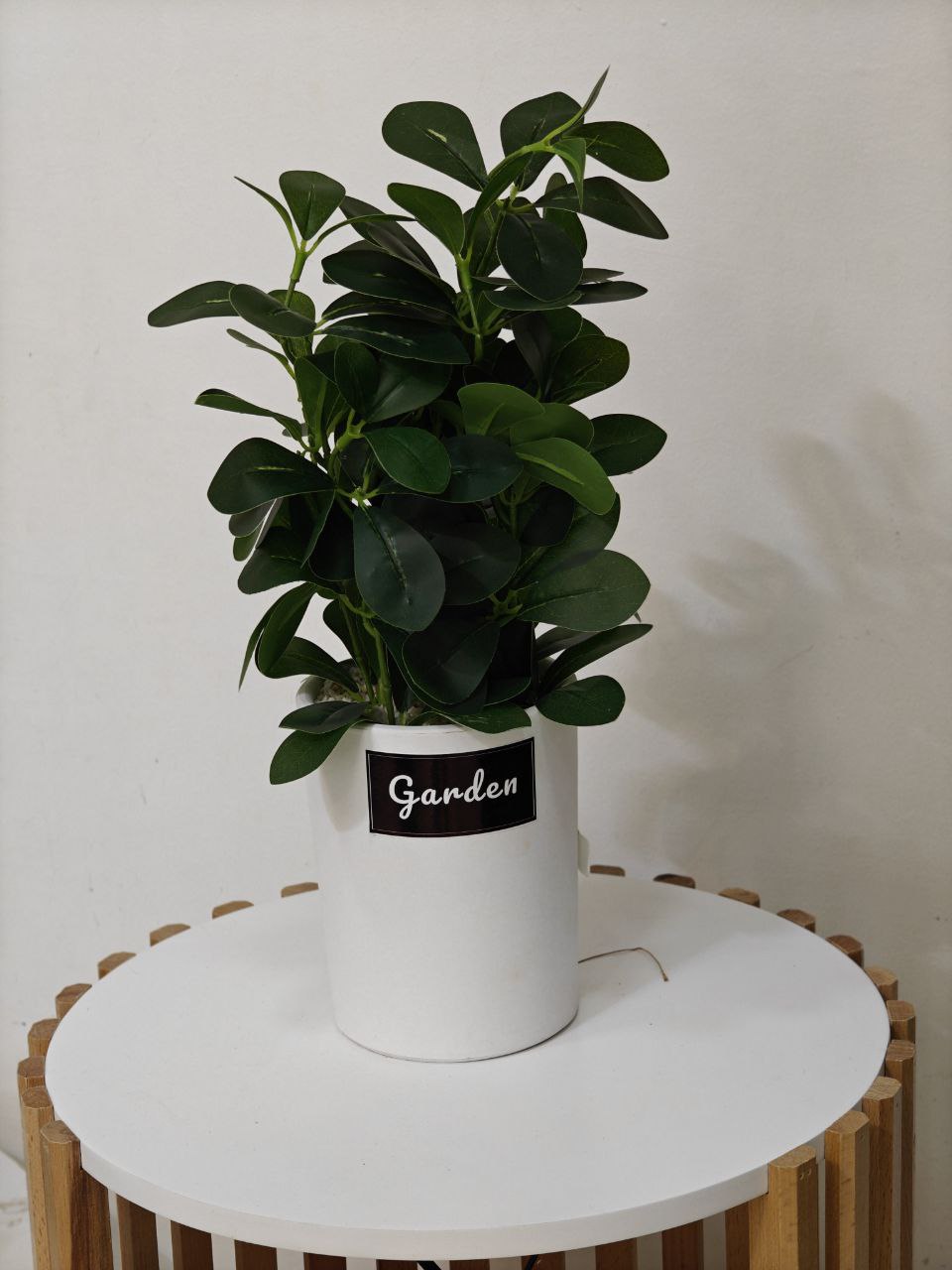 Plante art nv34