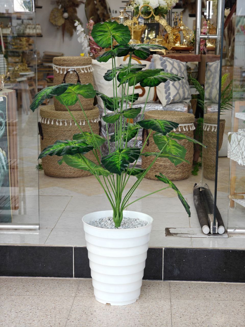 Plante art 1.10 cm