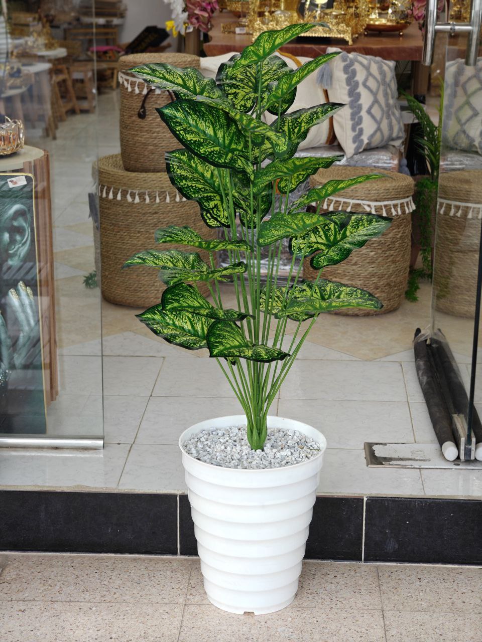 Plante art 1.10 cm