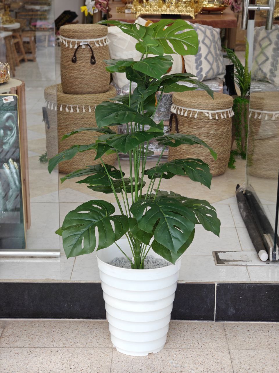 Plante art 1.10 cm