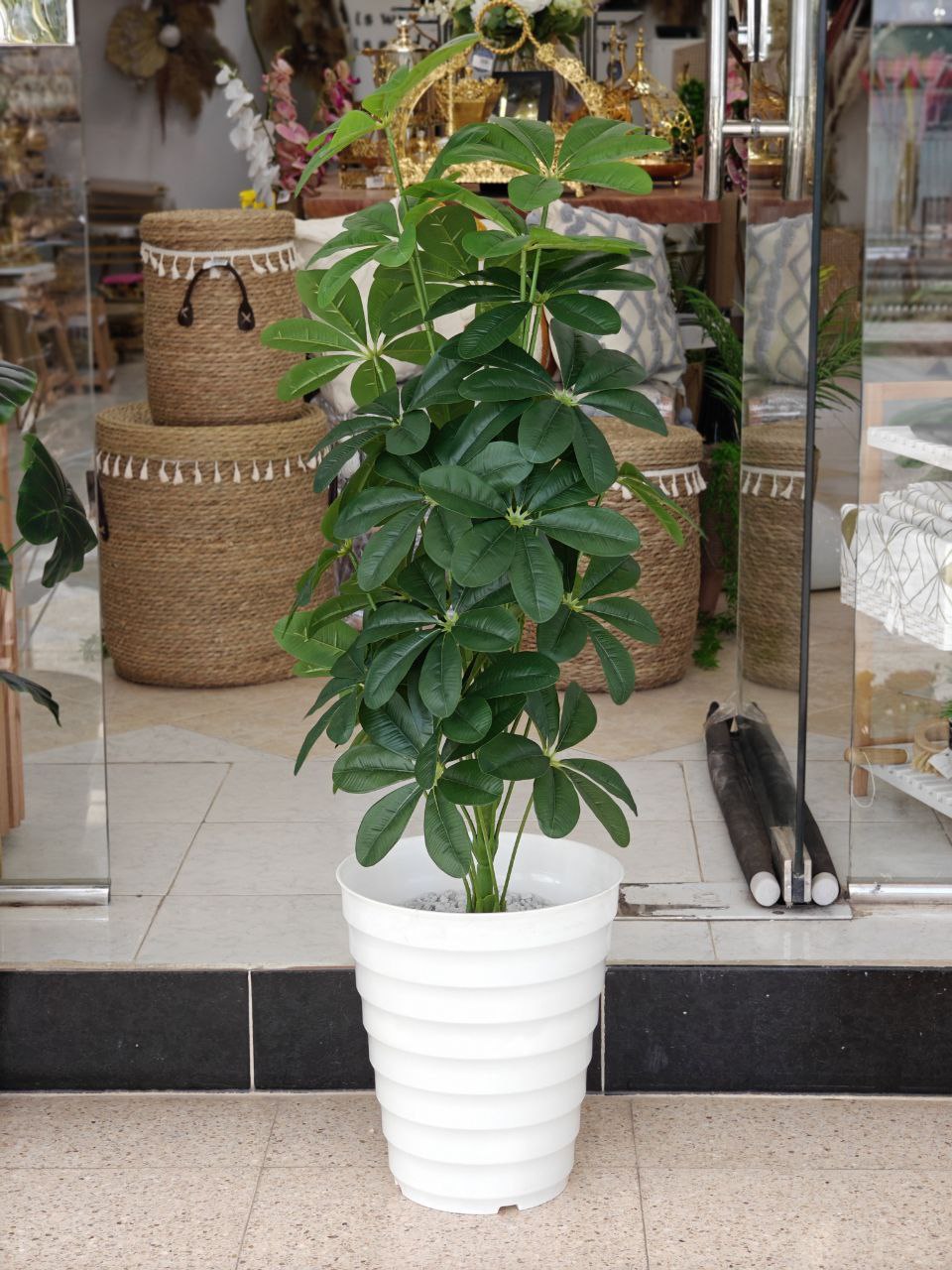 Plante art 1.10 cm