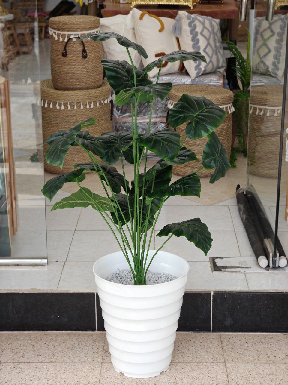 Plante art 1.10 cm
