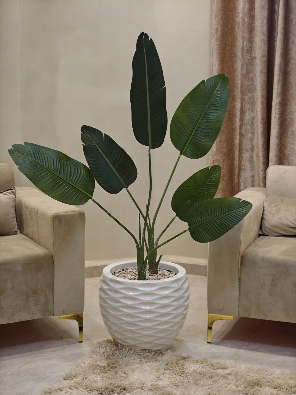 Plante art grand modèle