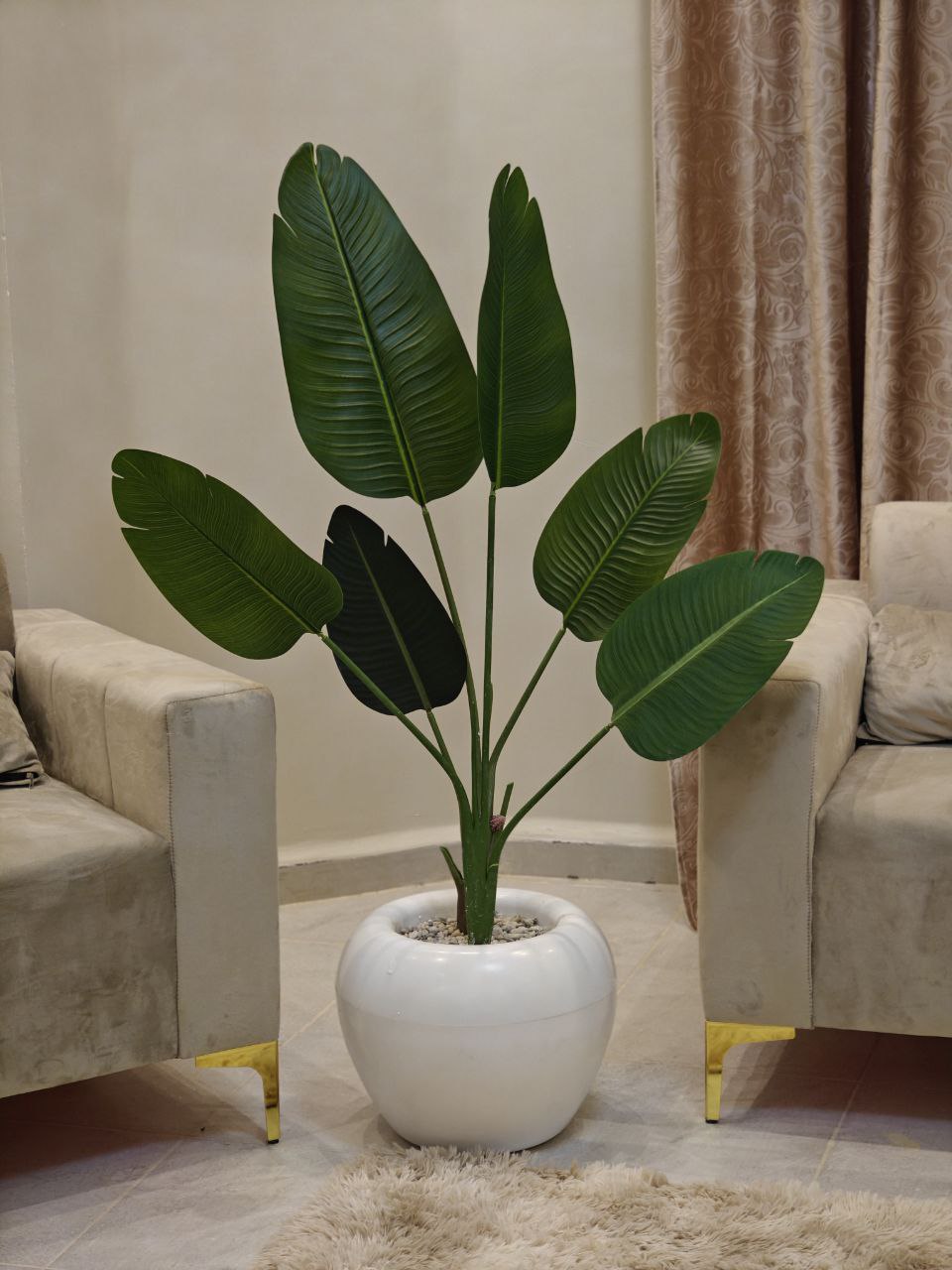 Plante art grand format pot ovale