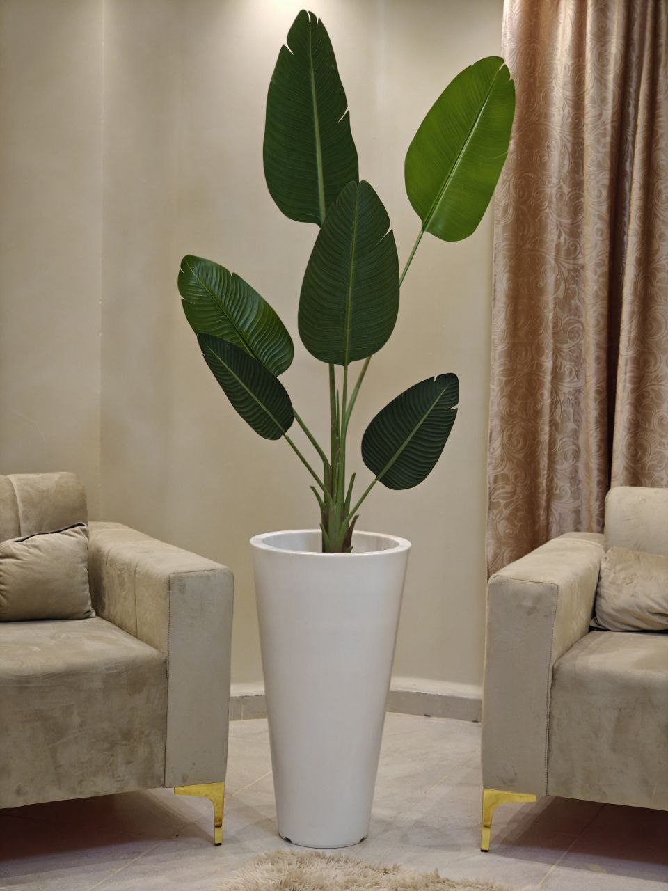 Plante art grand modèle nv