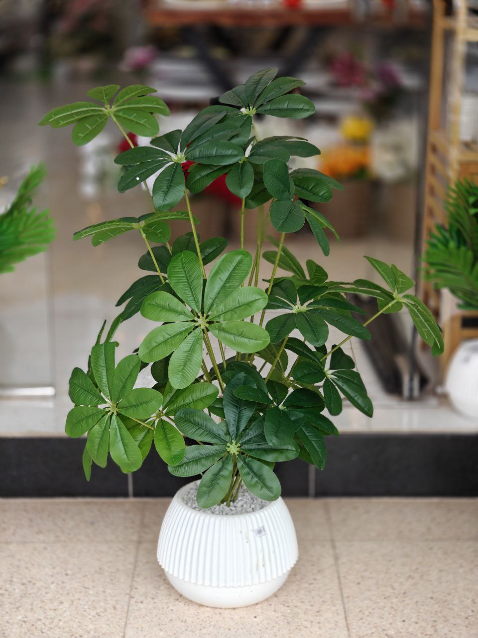 Plante art 1 mètre nv