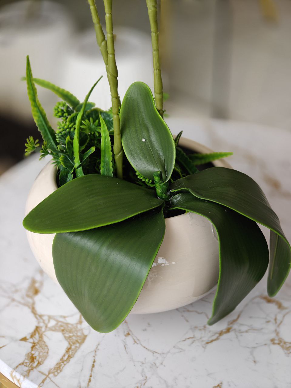 Orchidée pot en verre