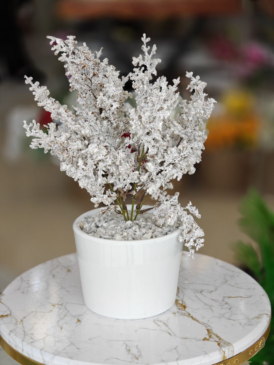 Plante art tige