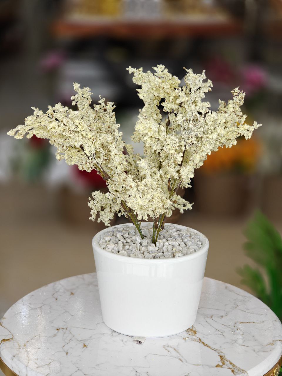 Plante tige art