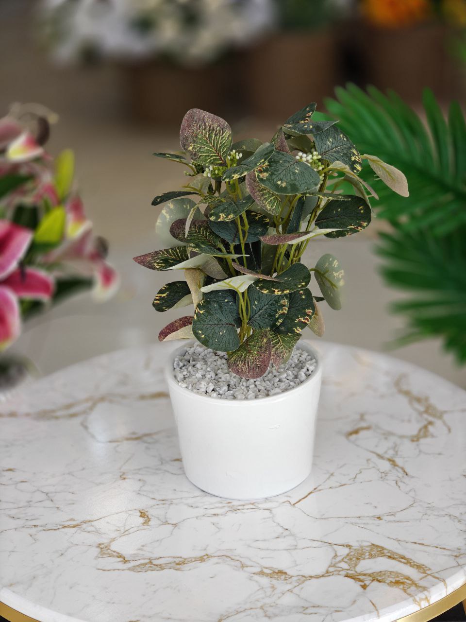Plante art pot blanc nv