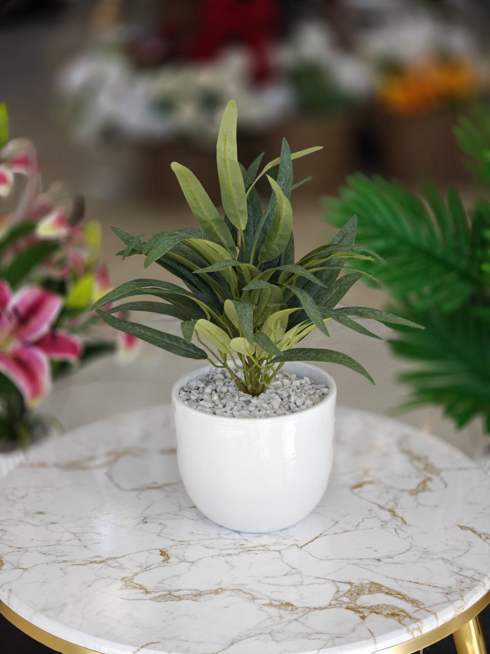 Plante art pot blanc nvv