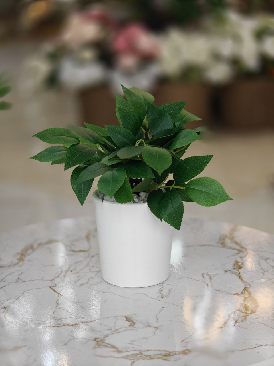 Plante art