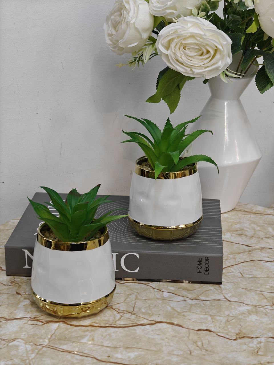 Plante blanc doré 'v