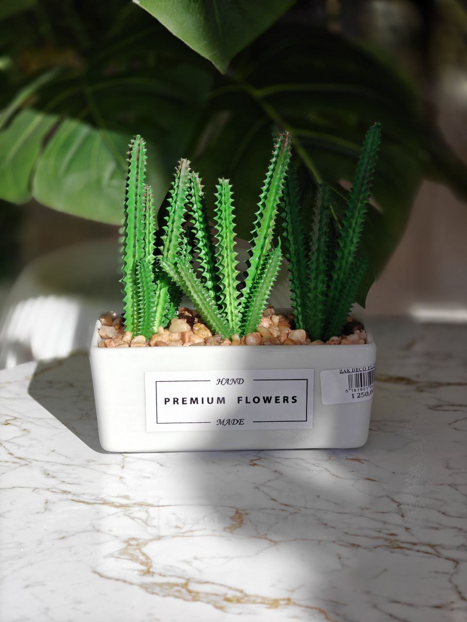 Plante artificielle rectangulaire