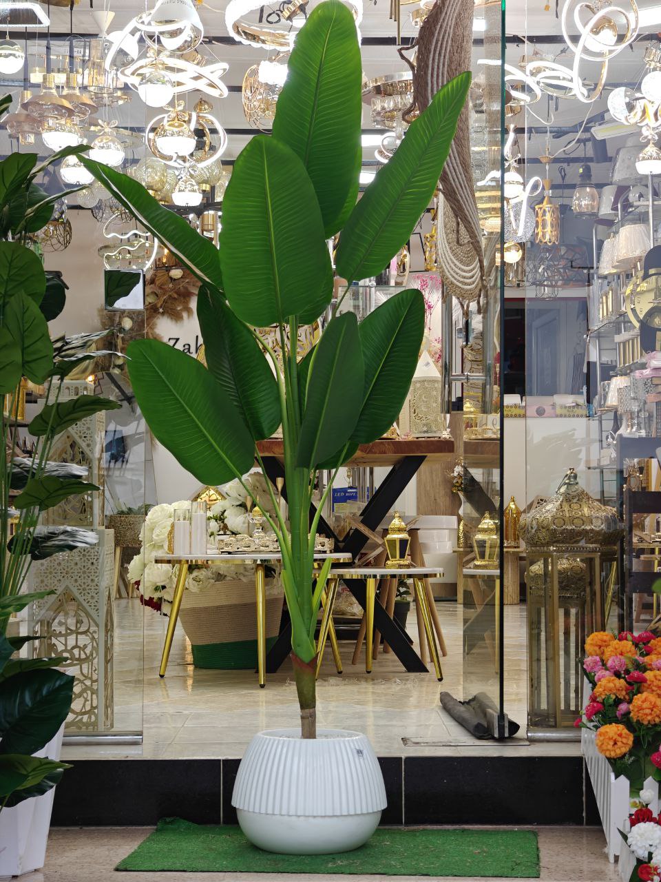 Plante art 1.80 m