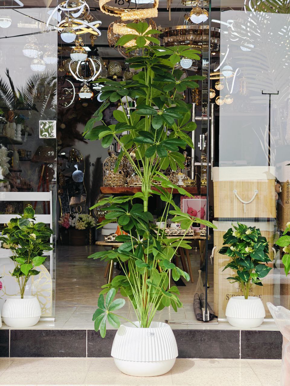 Plante art 1.50 cm