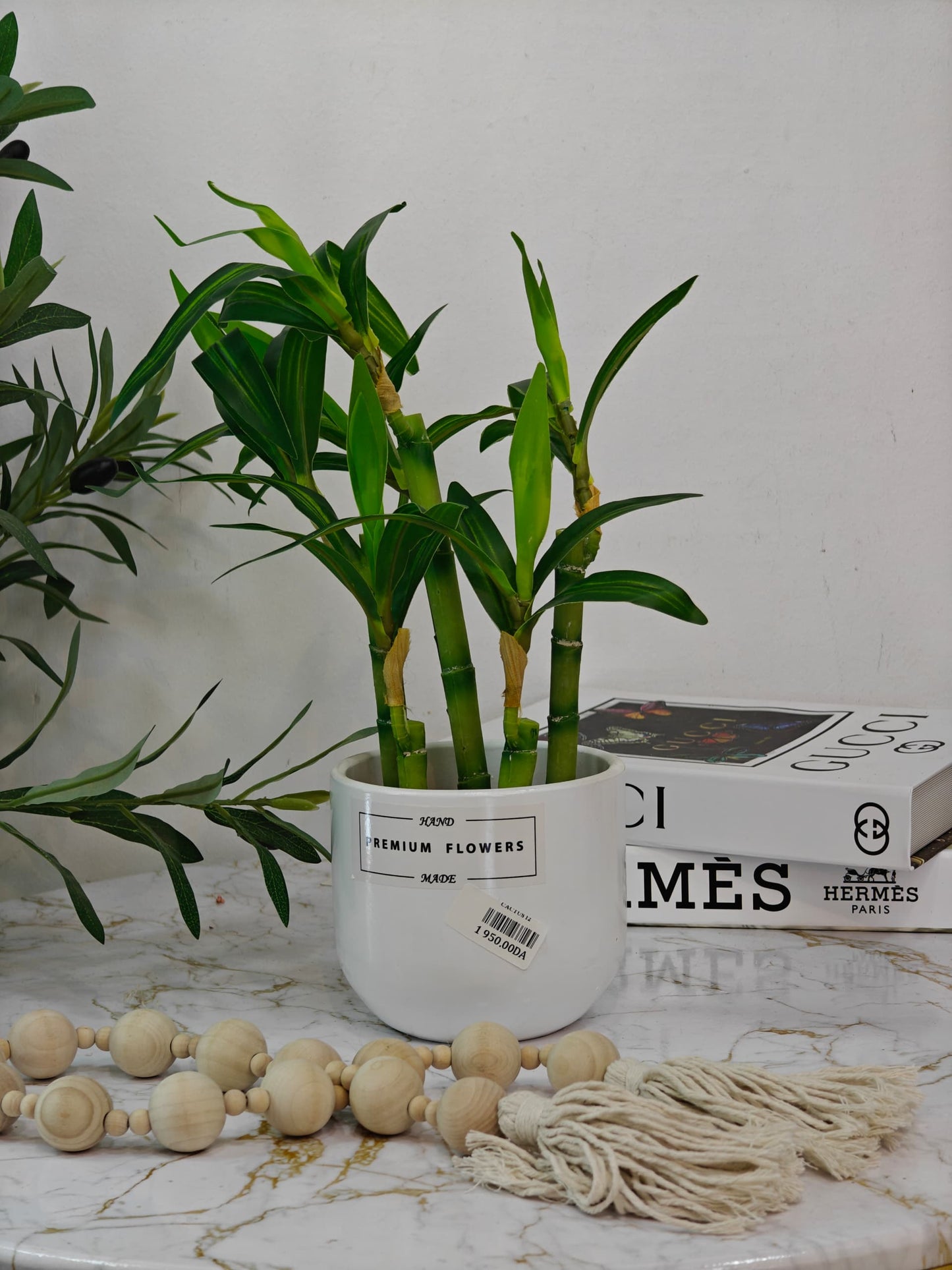 Plante pot blanc