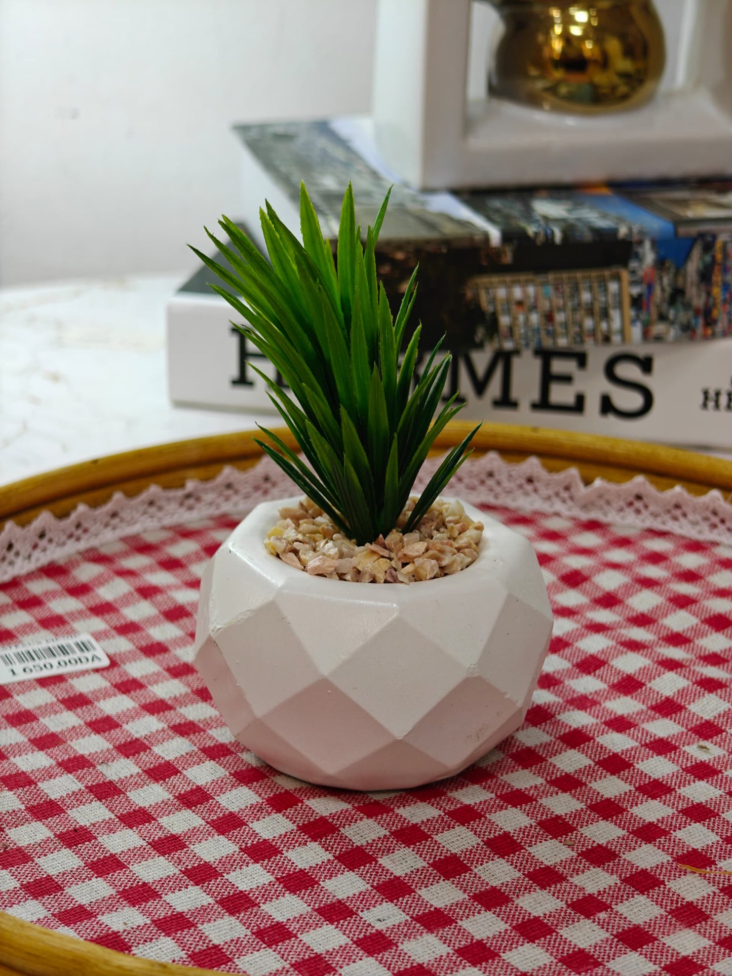 Plante art pm