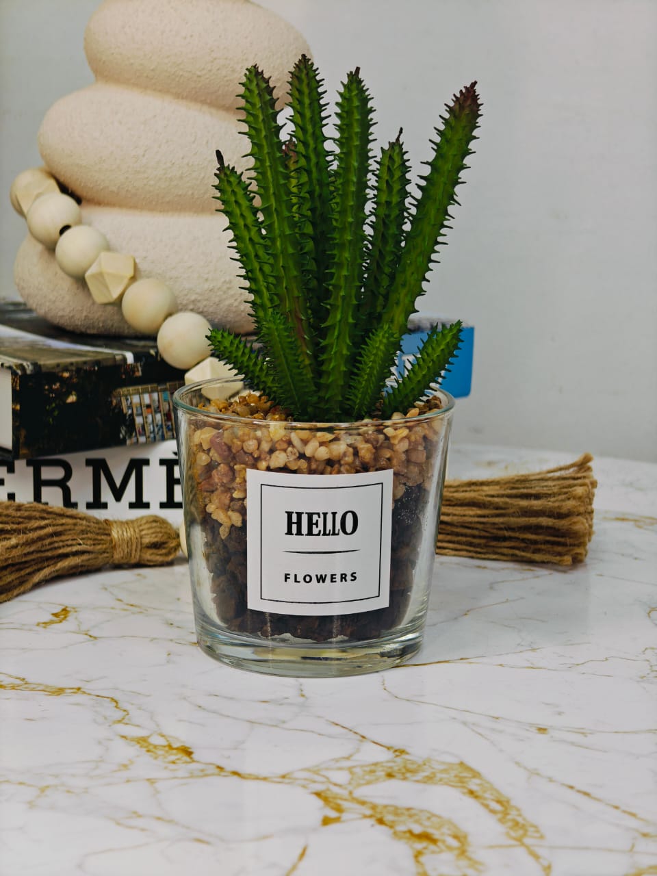 Plante pot en verre