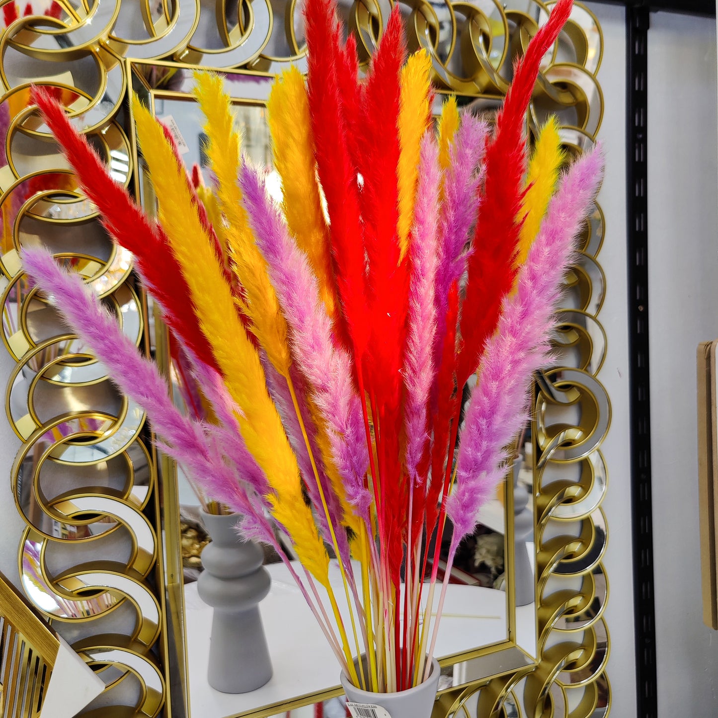 TIGE PAMPA COLORé