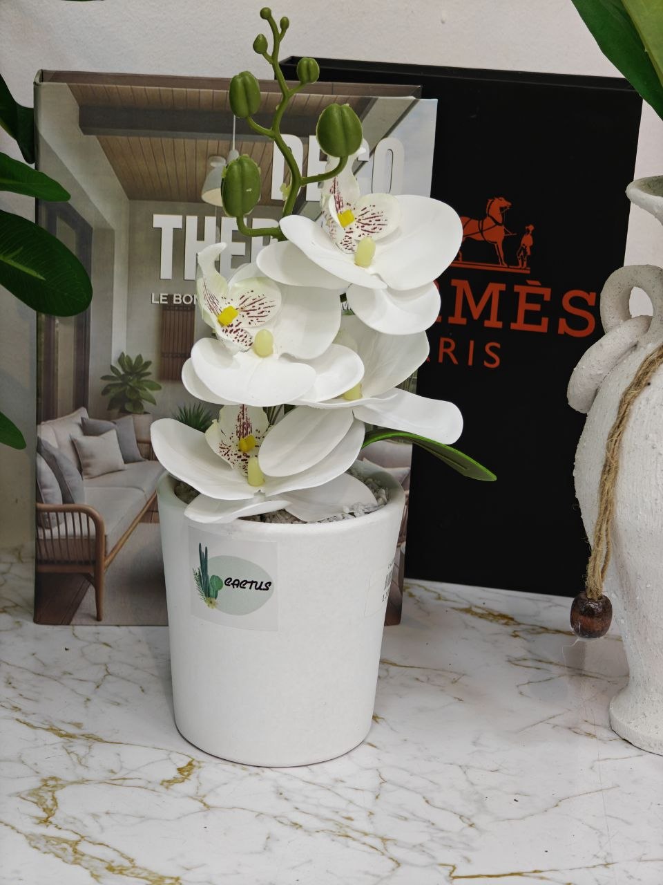 Plante fleurie