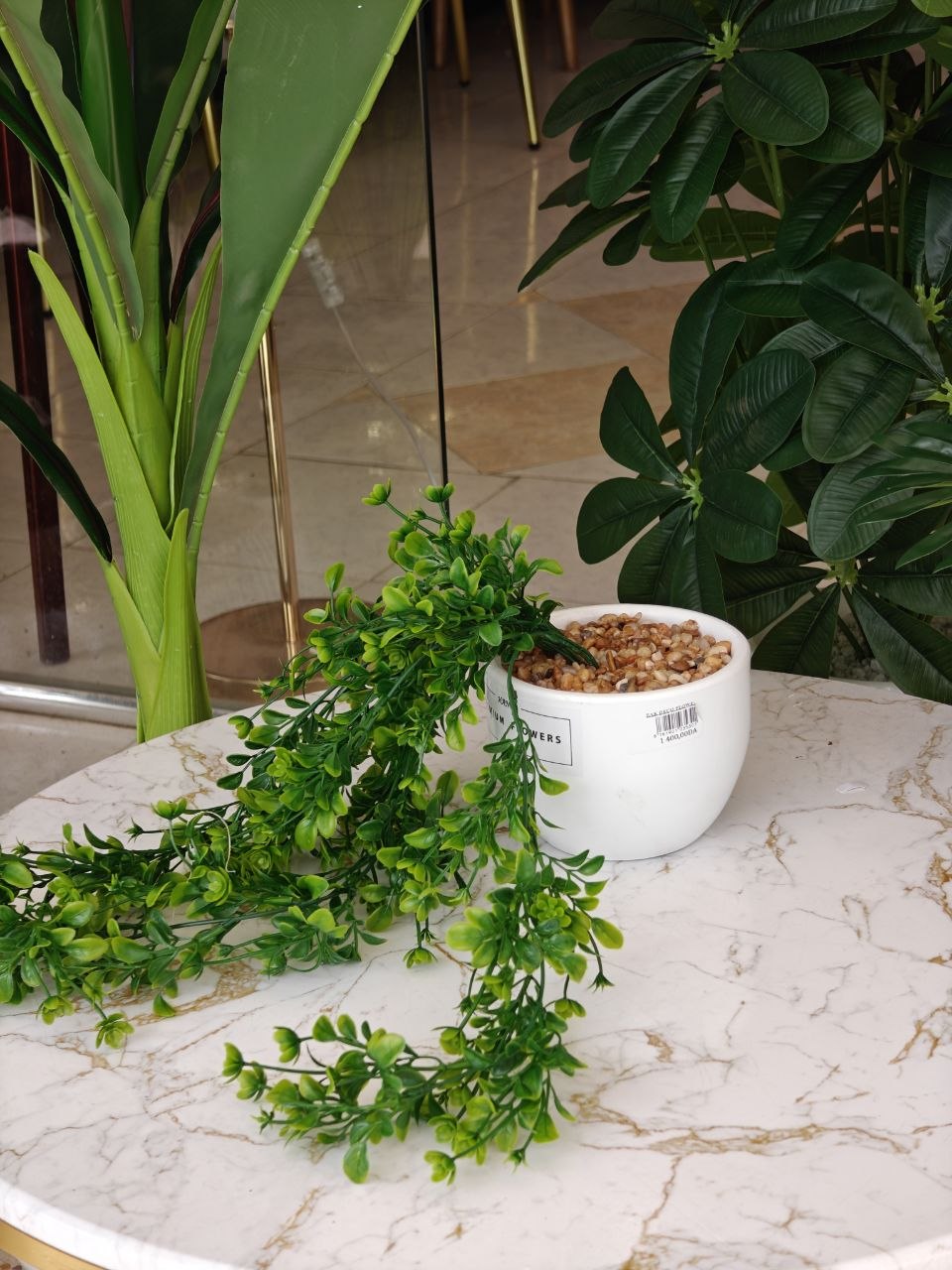 Plante art