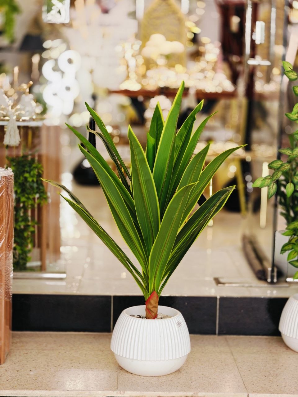 Plante art m09