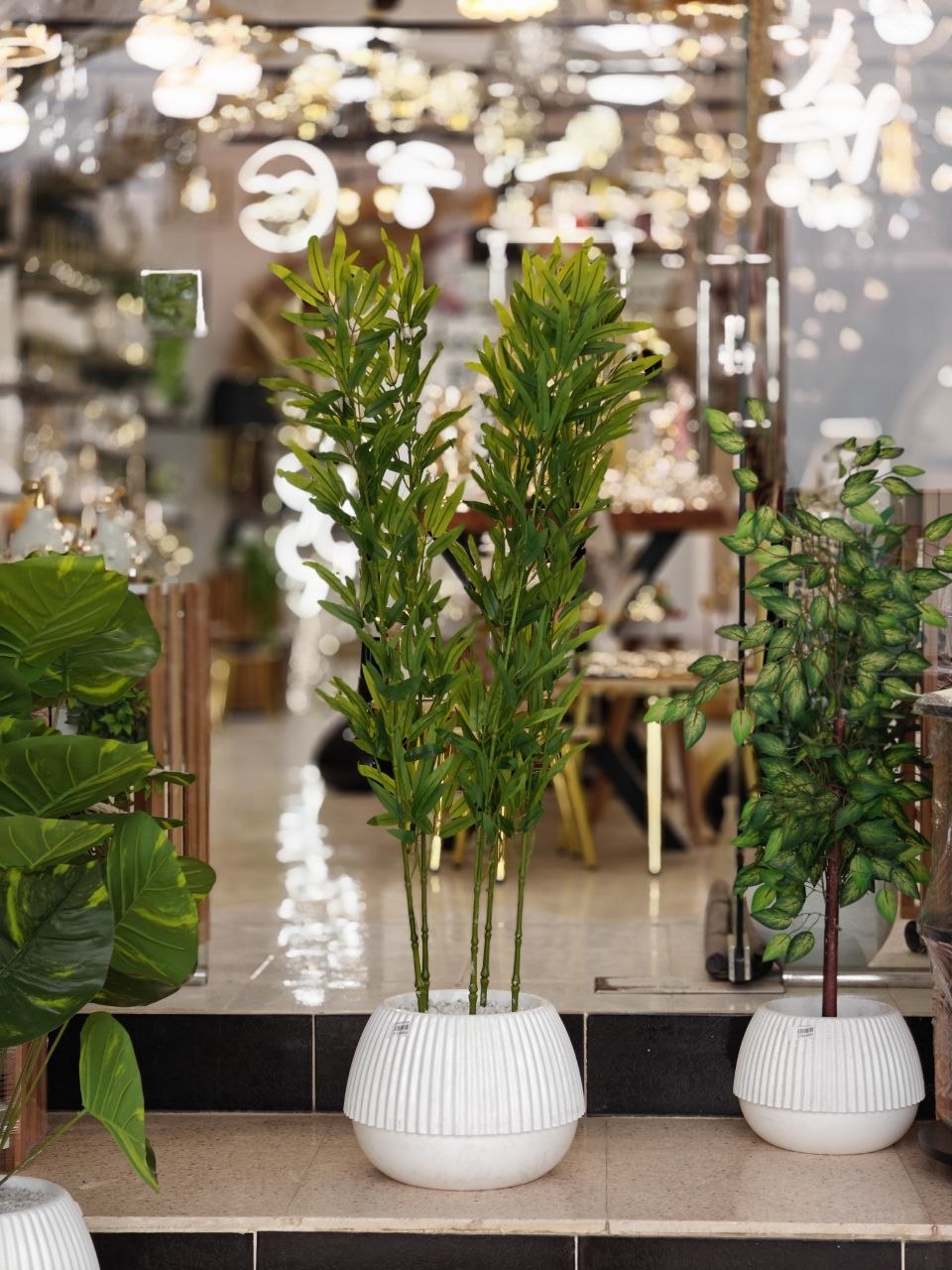 Plante artificielle nv2