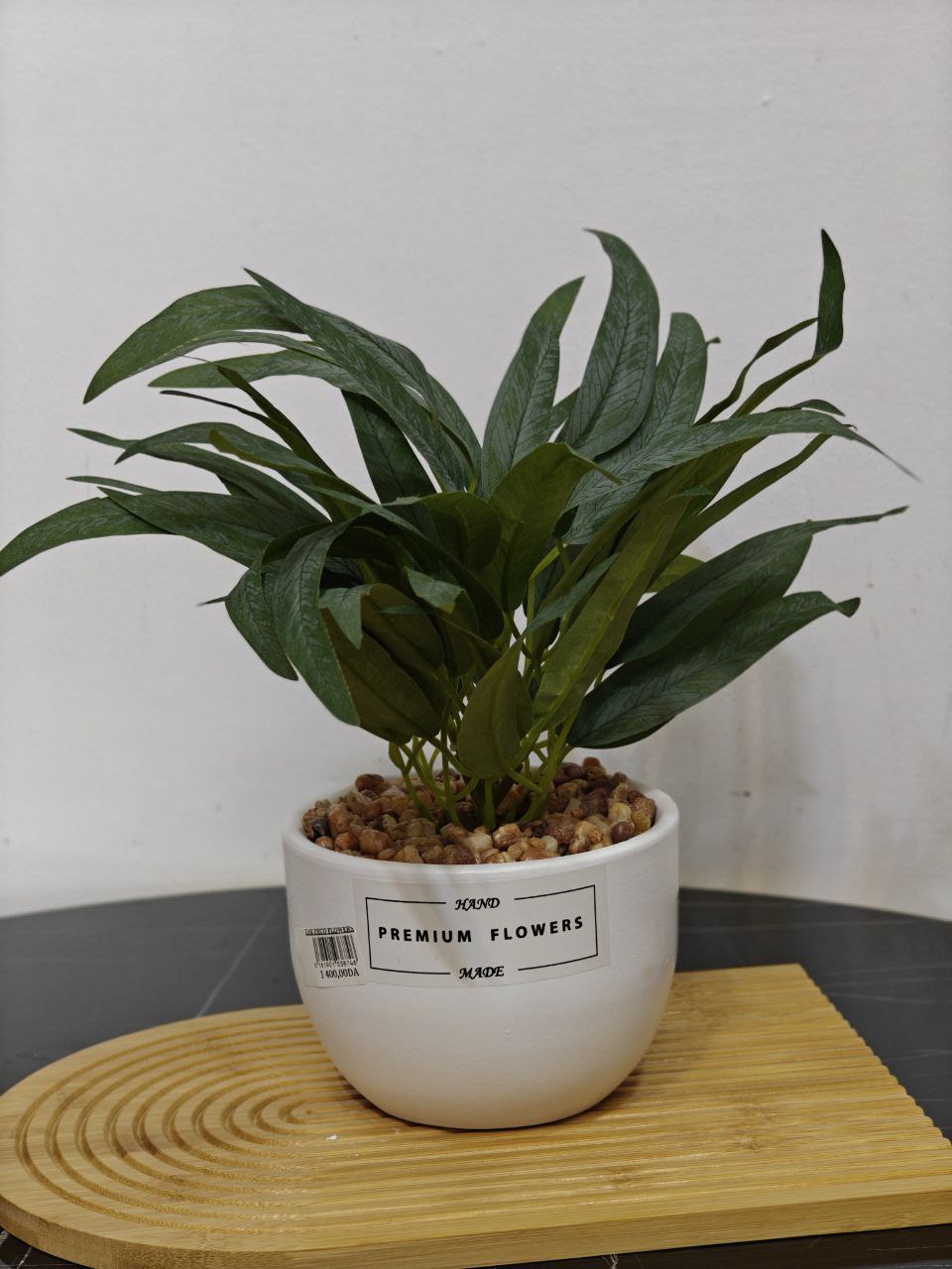 Plante nv02