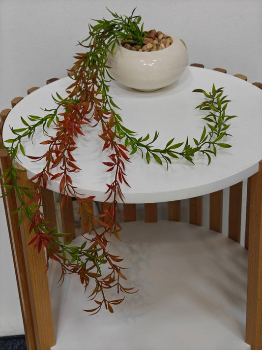 Plante art pm01