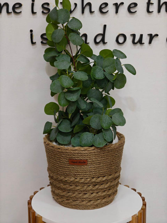 Cache pot osier 🧺( sans plante)