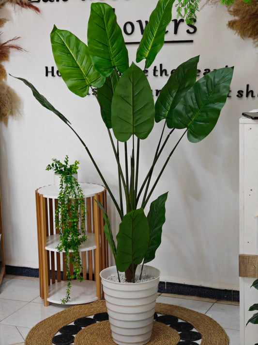 Plante art 1.75m