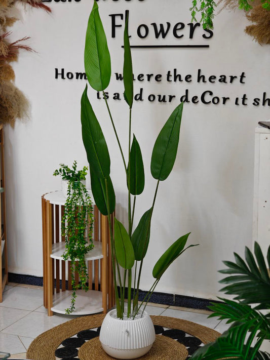 Plante art 1.60 m