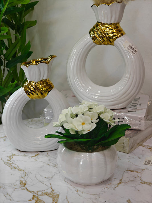 Plante a fleurs blanches