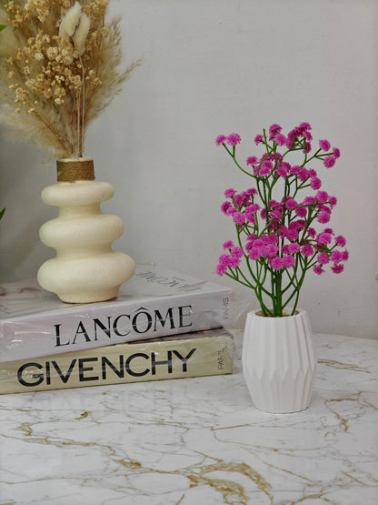 Plante a fleurs pot blanc