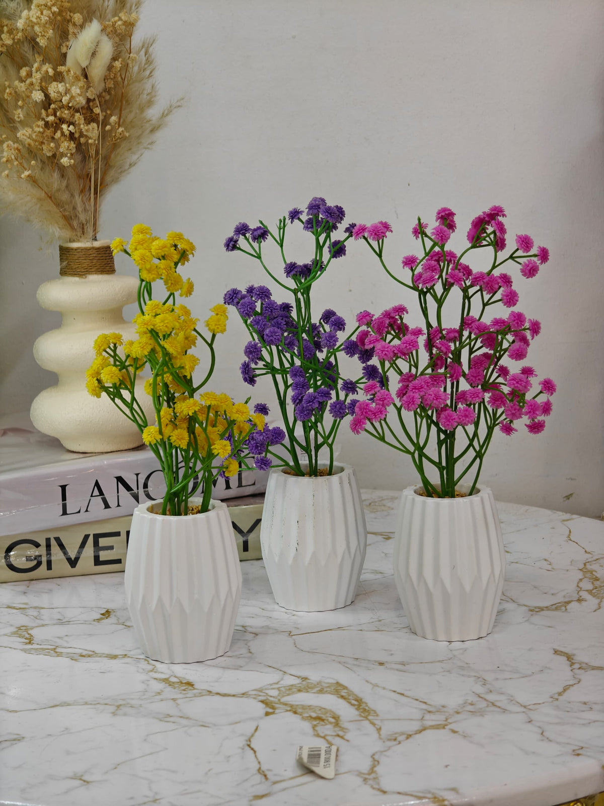 Plante a fleurs pot blanc