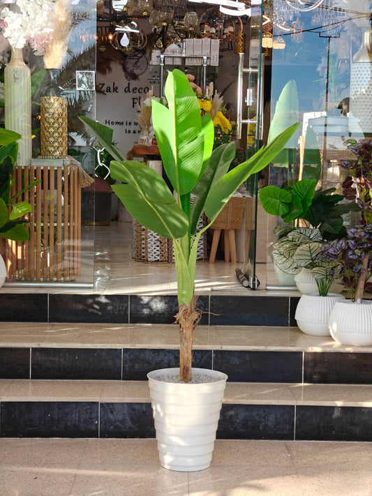 Plante art 1.50 m