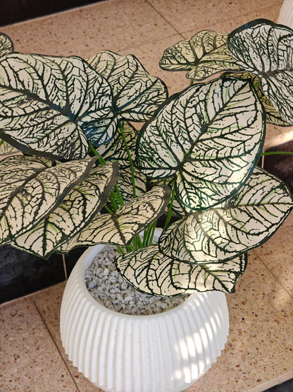 Plante artificielle